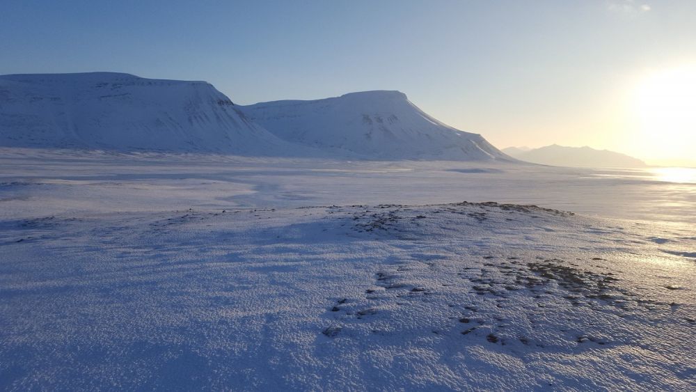 paesaggio artico Longyearbyen