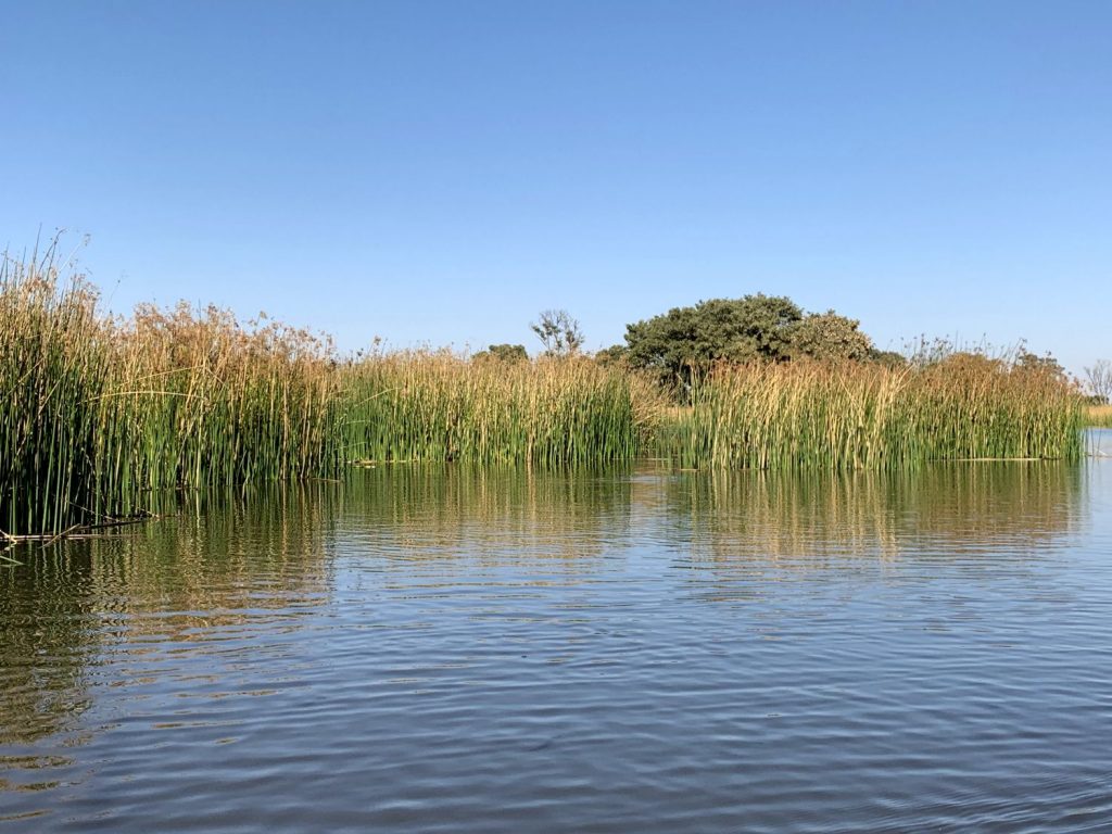 Delta dell'Okavango