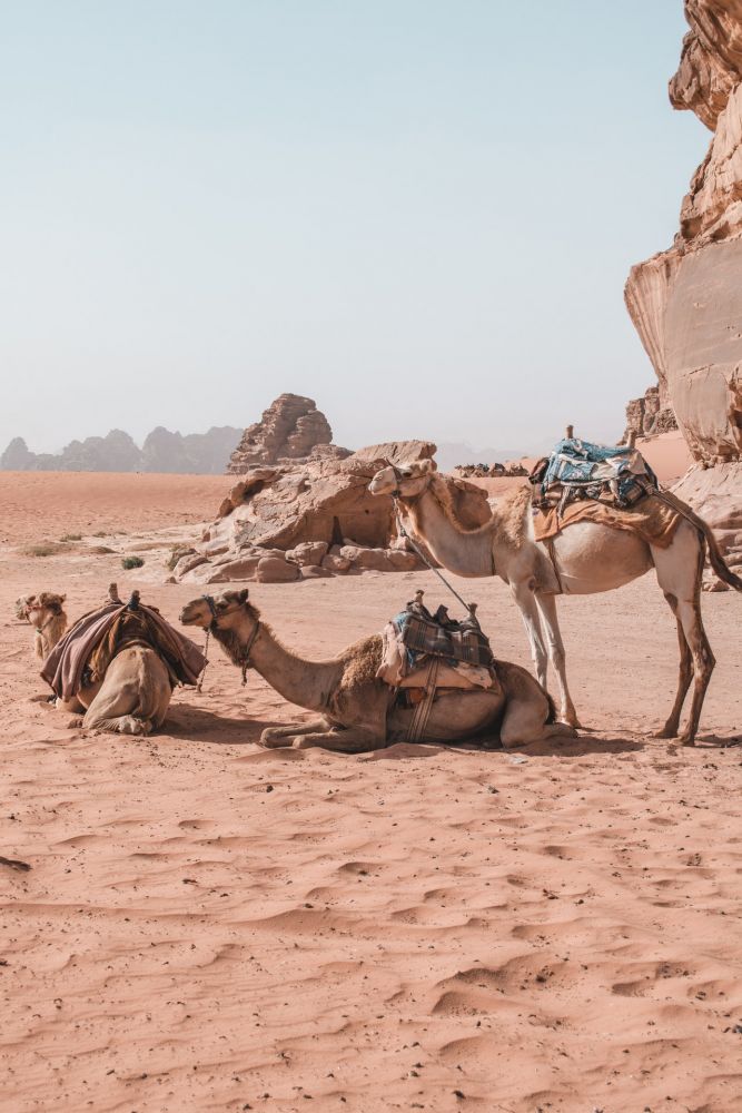 Deserto giordano, foto Alex Azabache
