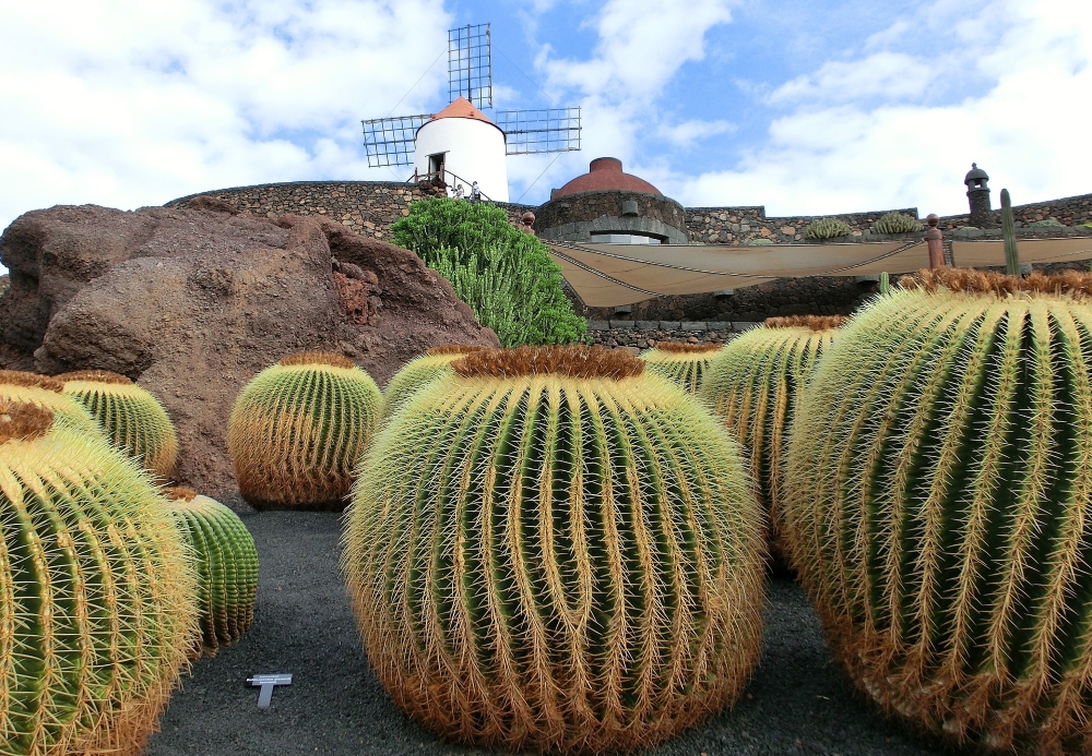 Jardin de Cactus a Lanzarote
