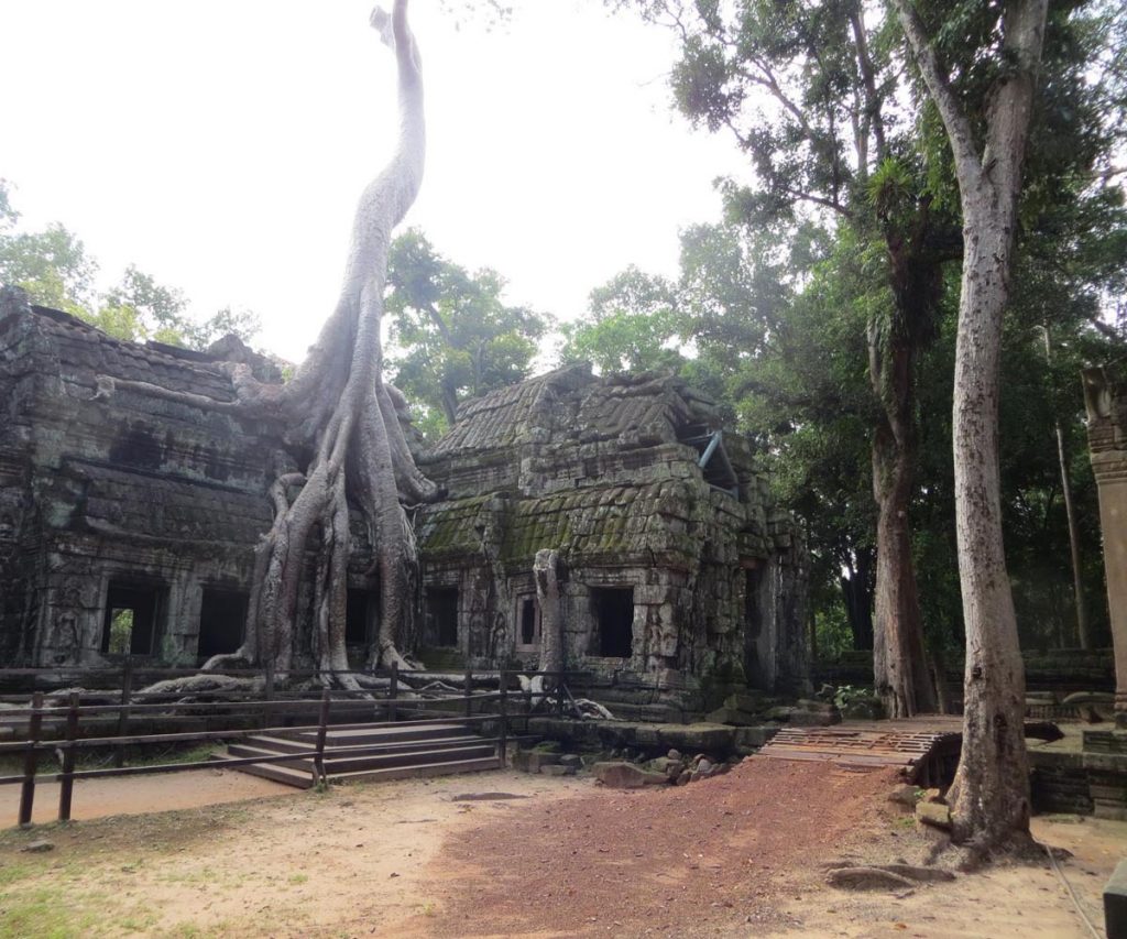 Angkor Wat e i templi nella giungla cambogiana