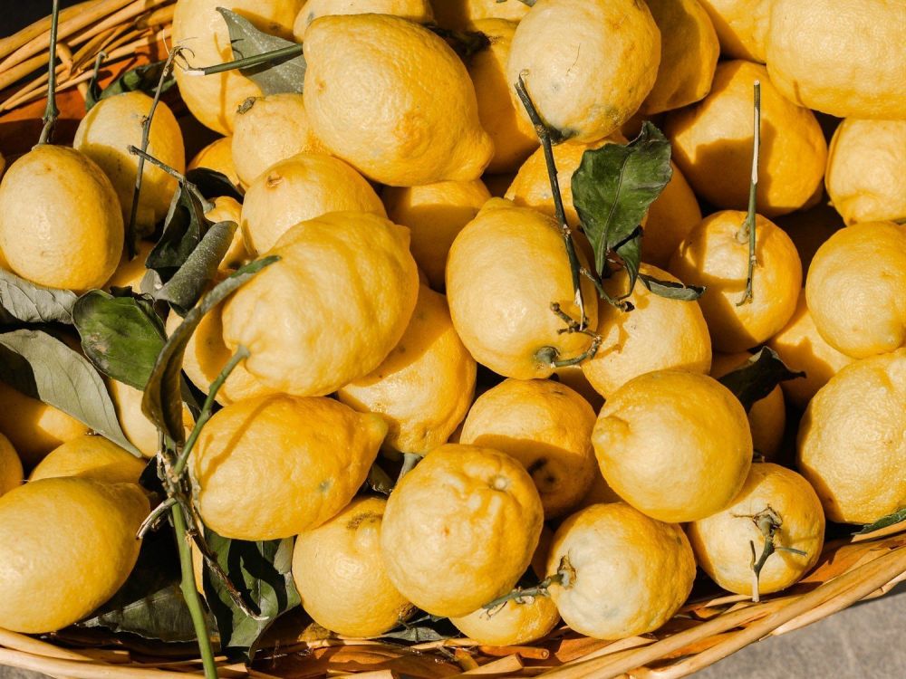 Il vero segreto del limoncello in costiera amalfitana