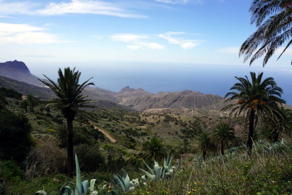 La Gomera: l’isola del trekking solitario