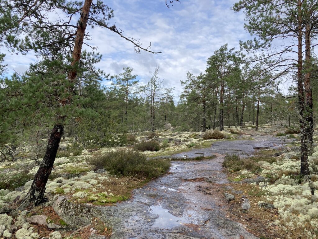 I boschi di Sammallahdenmaki, Finlandia