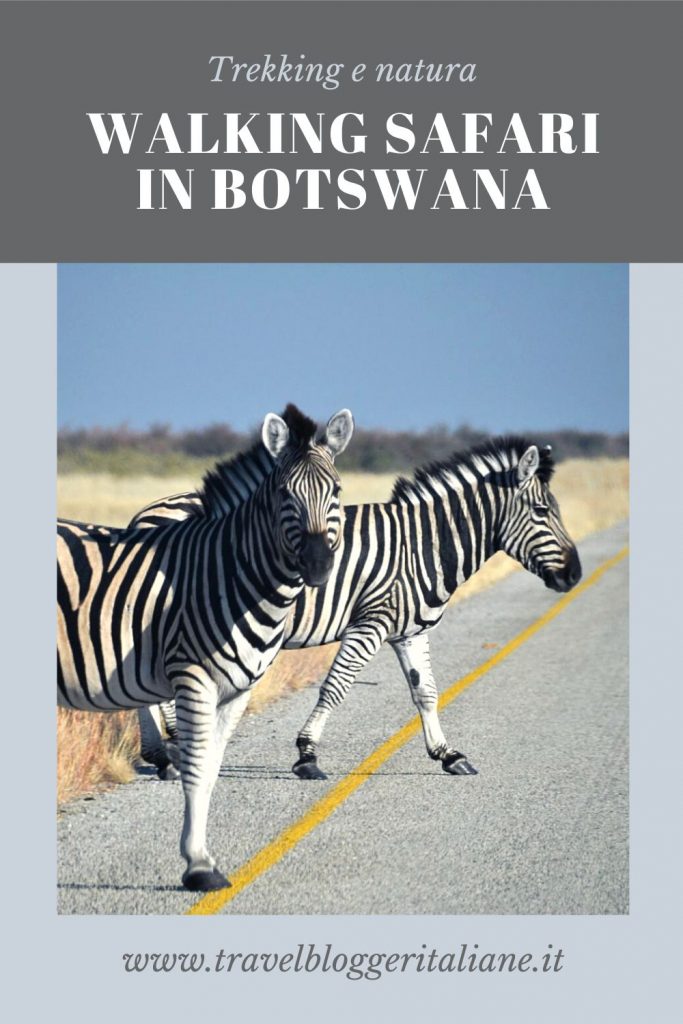 Walking Safari in Botswana