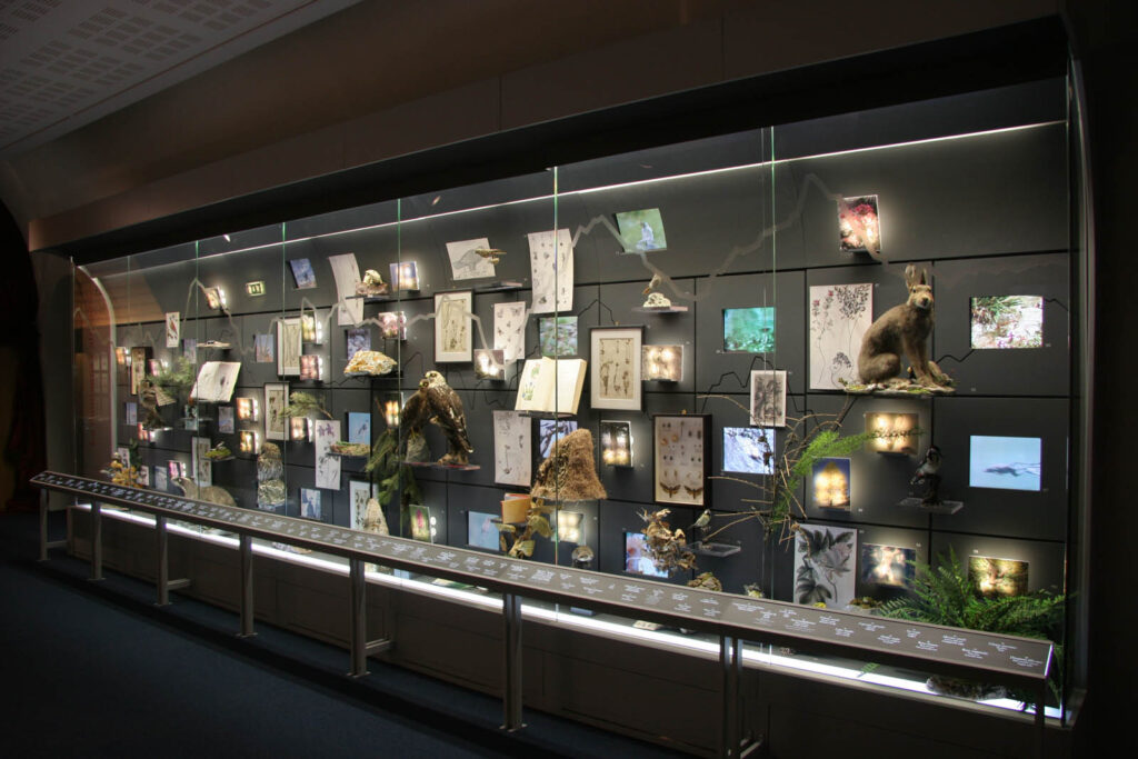 Esposizione sulla biodiversità al Museo delle Alpi al Forte di Bard