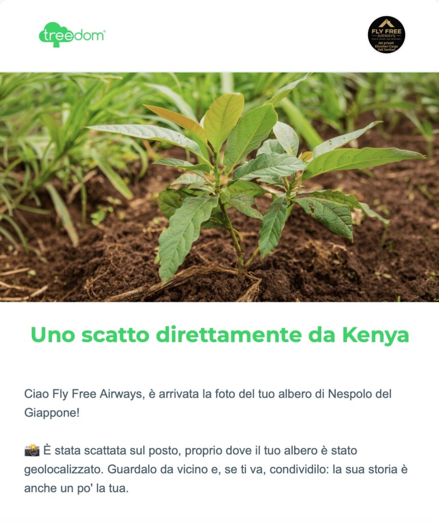 Foto dell'ultimo albero piantato nella foresta Treedom di Fly Free Airways