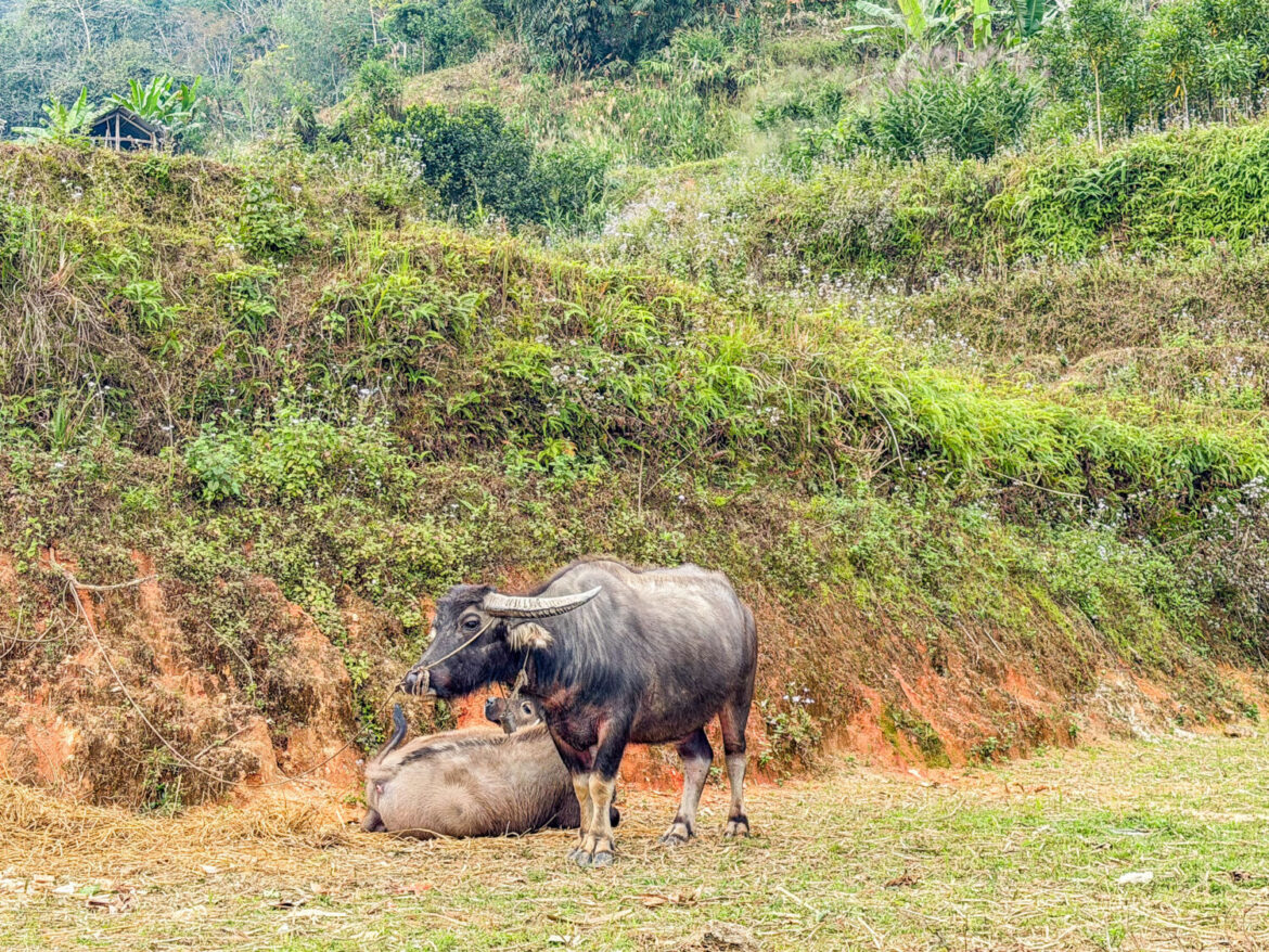 Ha Giang sulle montagne del Vietnam del Nord