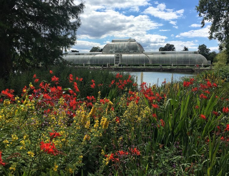 Alla scoperta dei Kew Gardens, i meravigliosi giardini botanici di