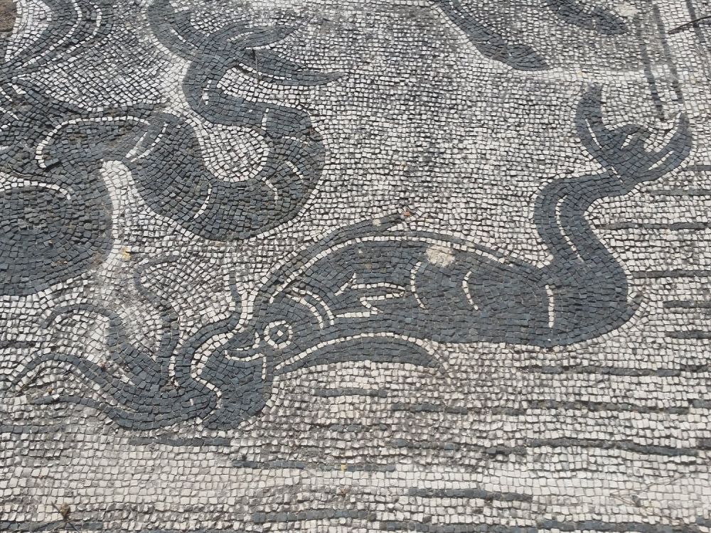 Mosaico a Ostia antica, foto Marina Lo Blundo