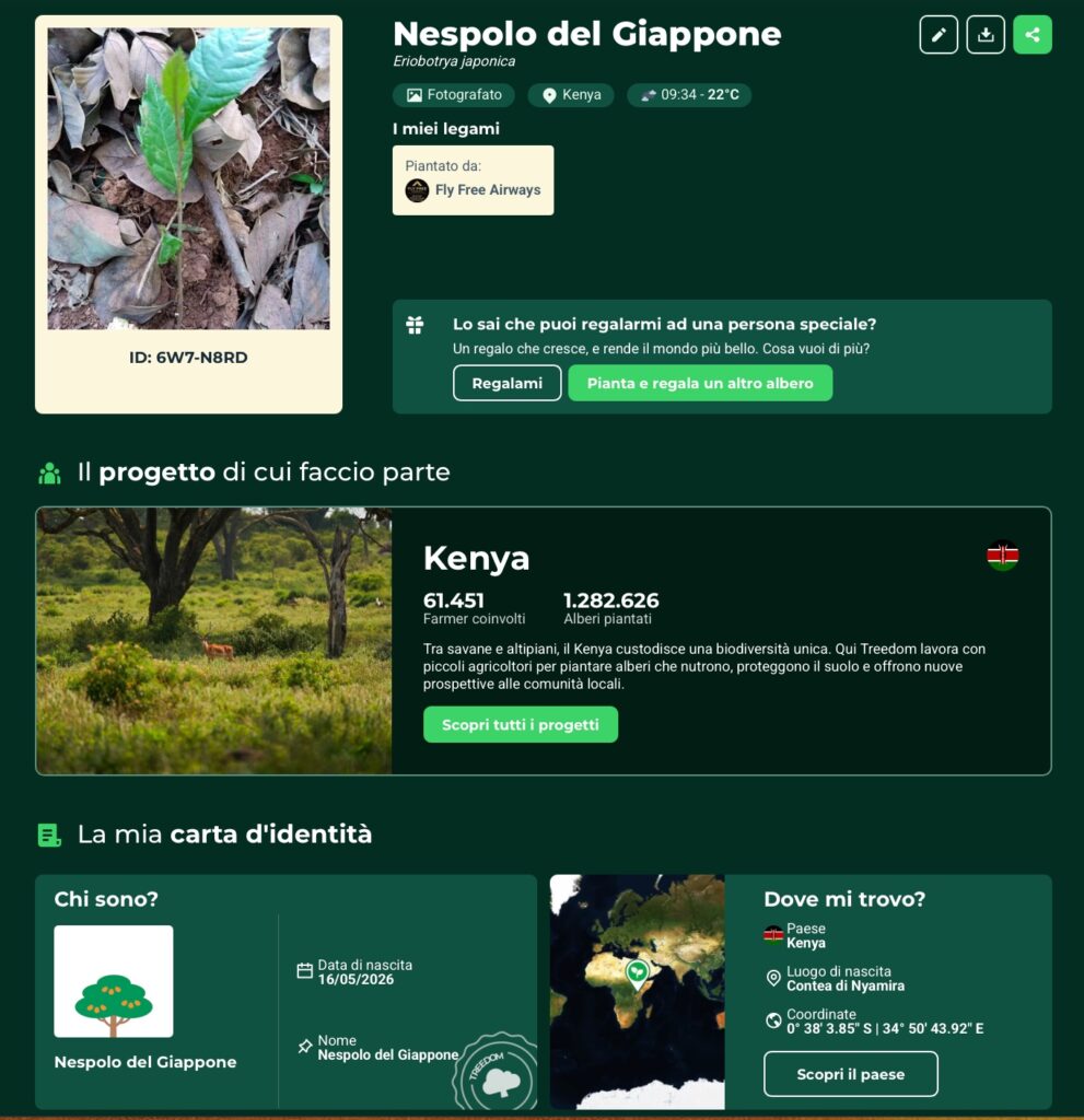 Informazioni fornite da Treedom sugli alberi piantati e sul progetto di riforestazione sostenuto