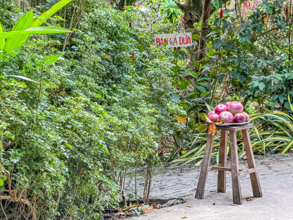 Scorcio di un villaggio rurale nel Vietnam del sud