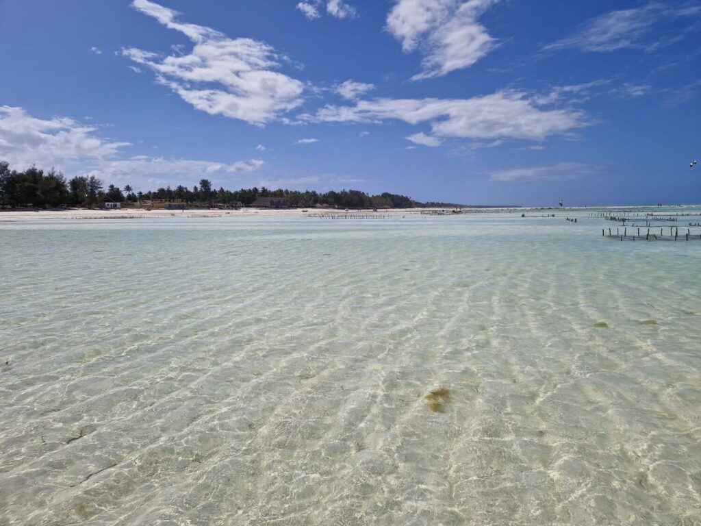 Le acque turchesi e trasparenti di Paje, sulla costa est di Zanzibar