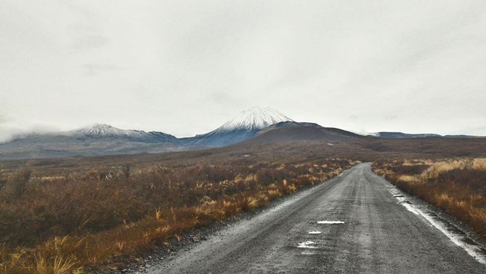 Strada per tongariro Nuova Zelanda